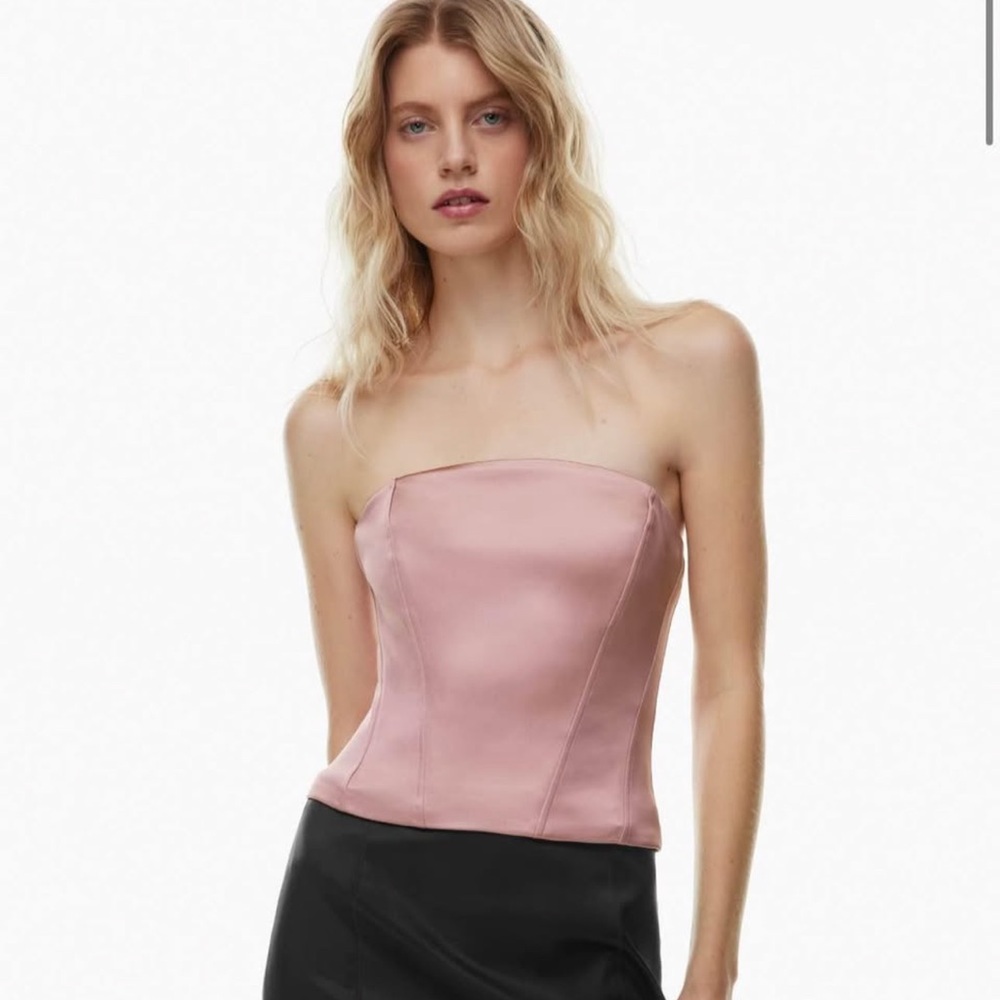 Aritzia Satin Bustier Strapless Top